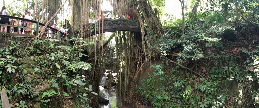 Bali – A Report