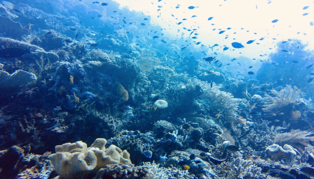 Marine Biodiversity