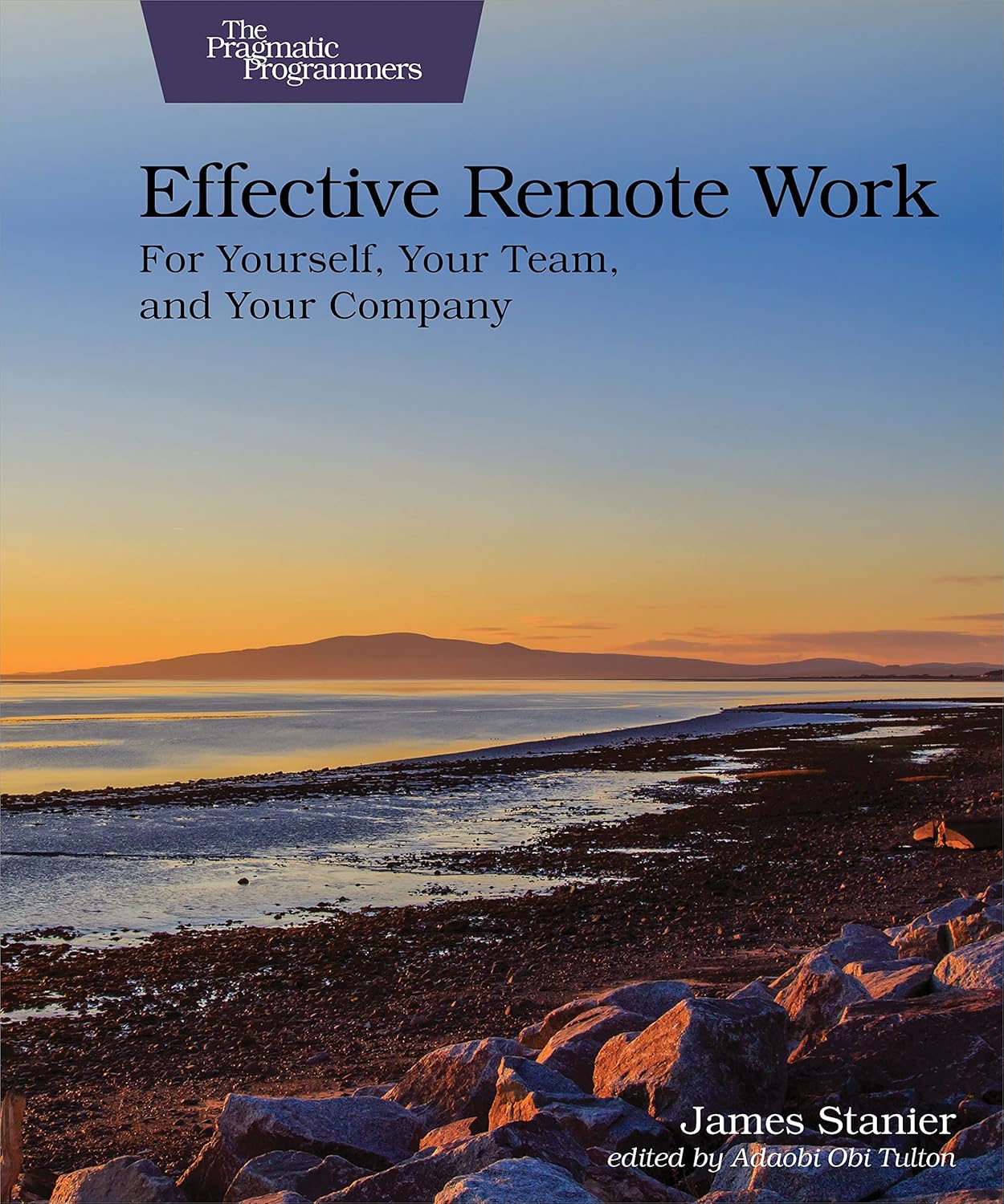 Effective Remote Work, James Stanier, 2022