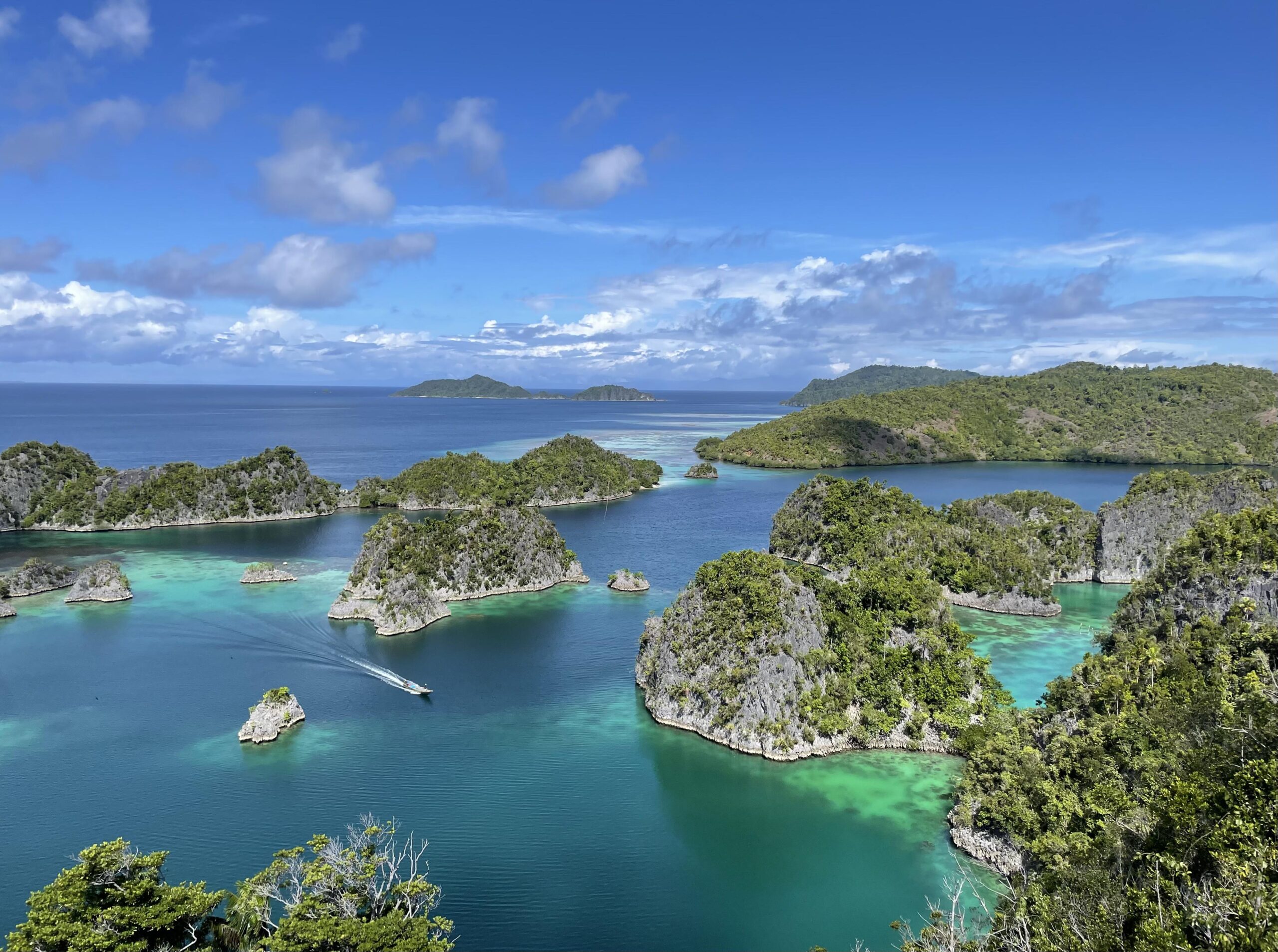 Raja Ampat – A Report.
