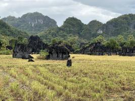 rammang/2024-07-30_09-06-41.jpg
