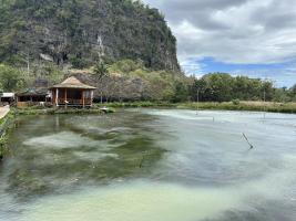 rammang/2024-07-30_10-40-16.jpg
