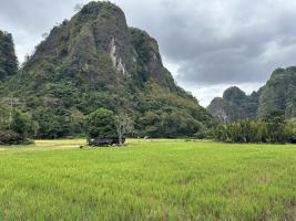rammang/2024-07-30_11-22-41.jpg