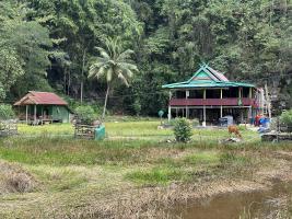 rammang/2024-07-30_12-02-27.jpg