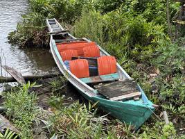 rammang/2024-07-30_12-18-01.jpg