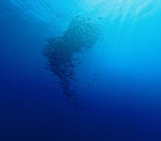gallery/039_009_IMG_4382-1_hu_70abbbf674dff47a.jpeg