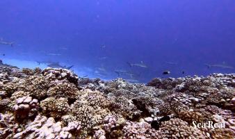 gallery/066_006_IMG_3496_hu_374d23b446b1f756.jpeg