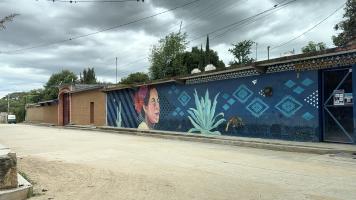 gallery/2026-07-mexico-day-02-oaxaca-welcomes-us-006_0006-20260716-185944-IMG_9552.jpeg