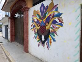 gallery/2026-07-mexico-day-05-alebrijes-guelaguetza-009_0009-20260719-204839-IMG_9678.jpeg