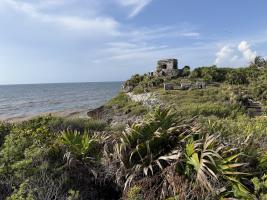 gallery/2026-07-mexico-day-10-tulum-and-coba-009_0009-20260724-133347-IMG_0060.jpeg