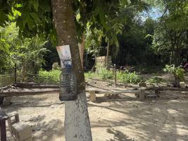 gallery/2026-07-mexico-day-10-tulum-and-coba-022_0022-20260724-152632-IMG_9839.jpeg