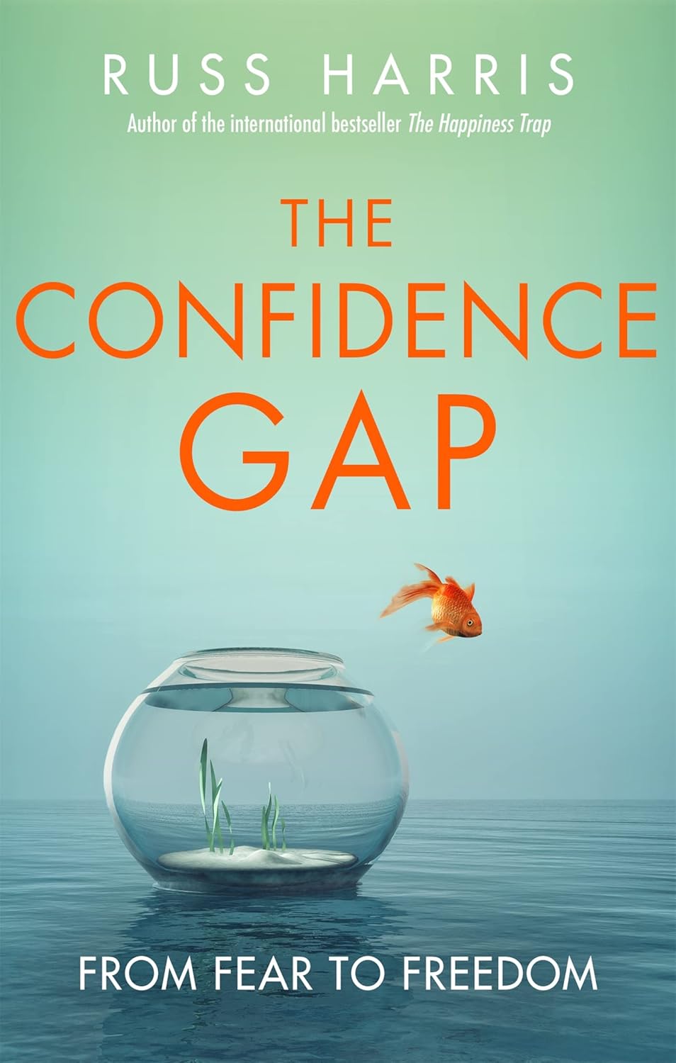 The Confidence Gap, Russ Harris, 2010