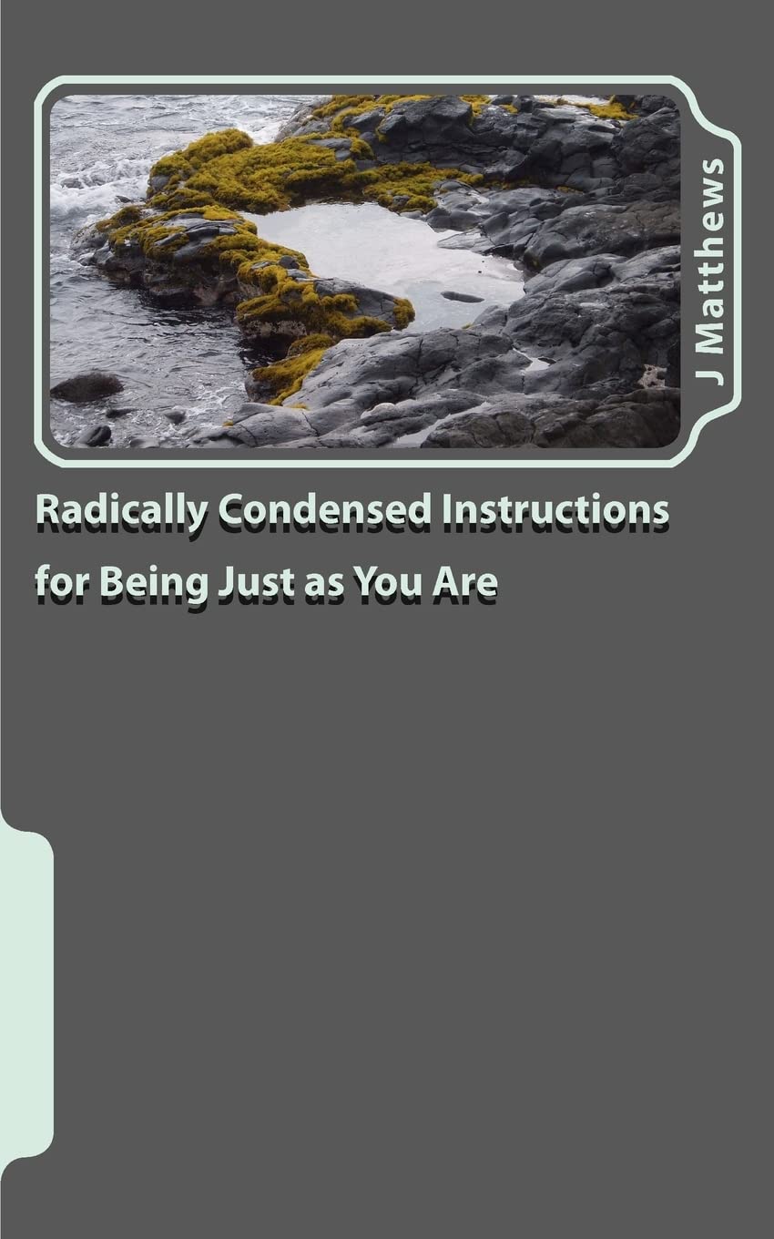 Radically Condensed Instructions for Being Just as You Are, J. Matthews, 2011