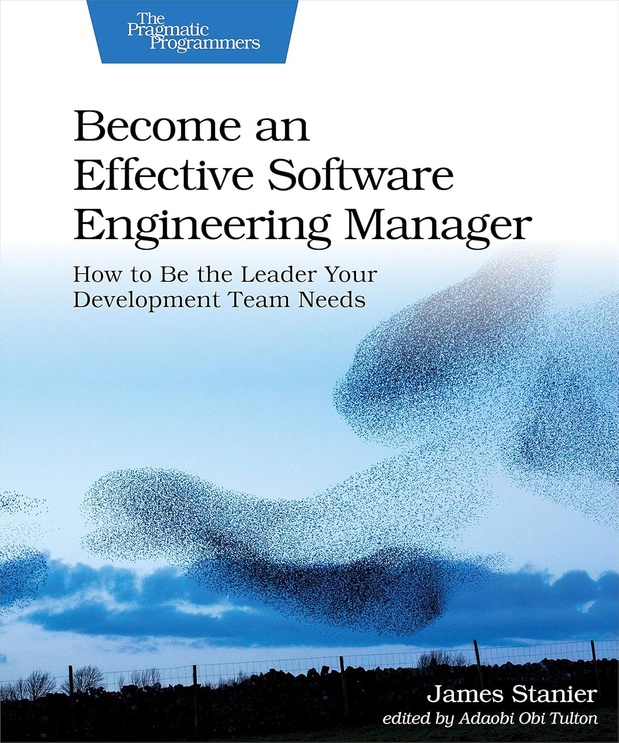 Become an Effective Software Engineering Manager, James Stanier, 2020